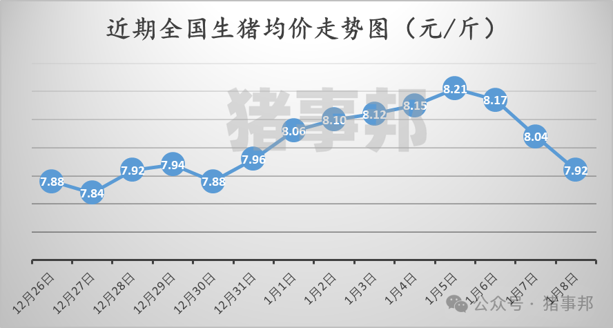 1月8日猪价汇总（延续跌势，但北方惜售情绪增强！）图3