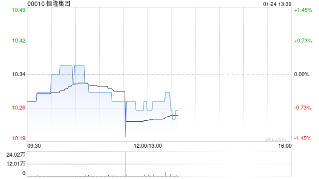 恒隆集团发布2024年度全年业绩 股东应占纯利16.13亿港元同比减少42.62%