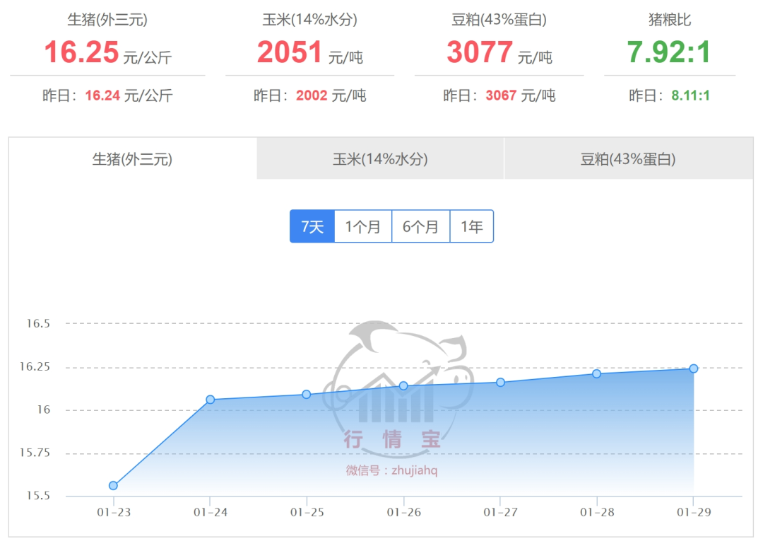 2025年1月30日国内生猪价格一览图2