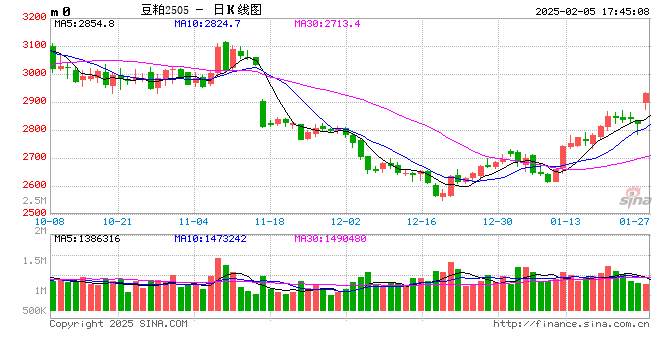 光大期货0205热点追踪：豆粕节后大涨，还能追吗？图2