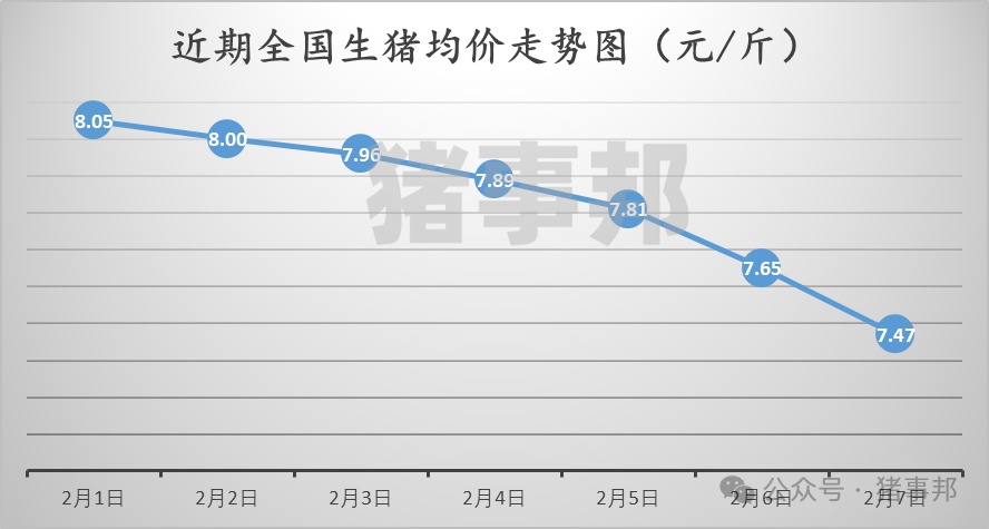 2月7日猪价汇总（跌势扩大，创近9个月新低！）图3