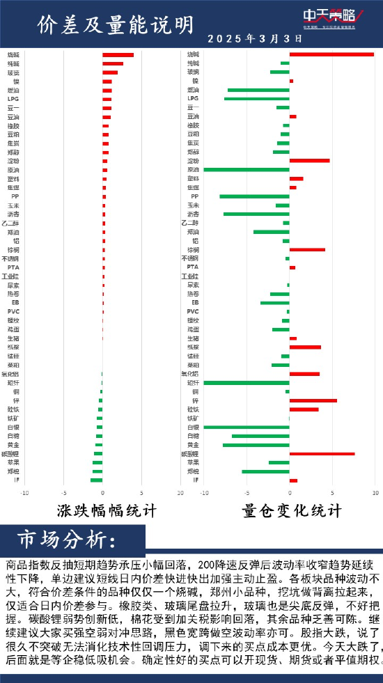中天策略:3月3日市场分析图2
