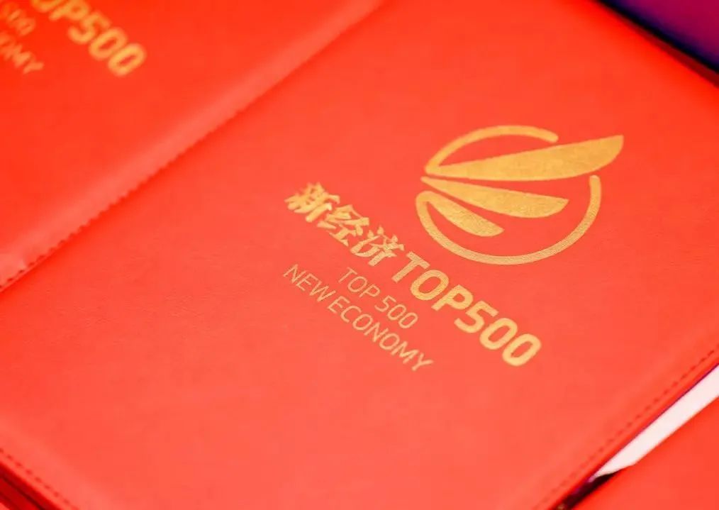 步步登高！长虹佳华荣登 “新经济企业潜力榜”图3